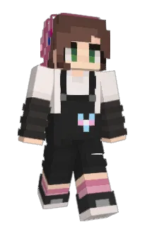 Front of Gesco's skin
