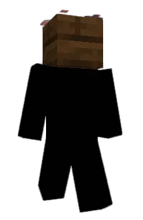 Front of SaBeeBee's skin