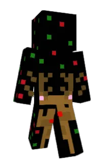 Front of Minecraft skin