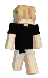 Slim Minecraft skin