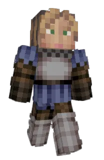 Front of TheShinyHodzic's skin