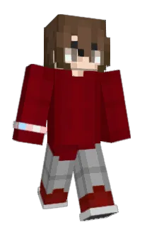 Front of xBirdie's skin