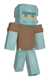 Front of Minecraft skin