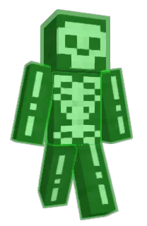 Front of lHassan's skin