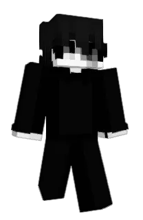 Front of Sldih's skin