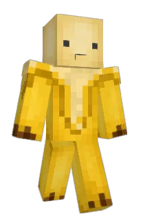 Front of Danterage's skin