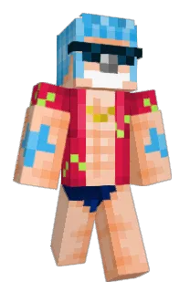 Front of the_rom's skin