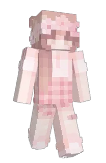 Front of Penguin12123's skin