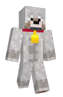 Front of Rise248's skin