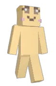SkyTOKKI