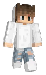 Minecraft skin — Classic model