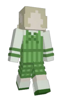 Front of Aquatricot's skin
