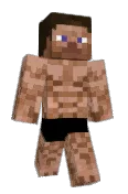 noob_max_123