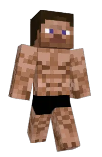 Front of noob_max_123's skin