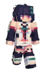 Skin preview
