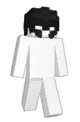 p4niccc