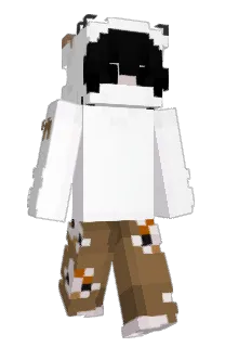 Front of AirplaneGoBrr's skin