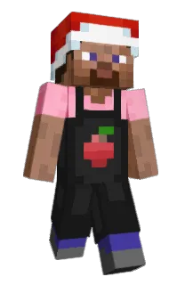 Front of Japiszko's skin