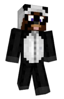 AKATSUKIMEMBER1's Minecraft skin