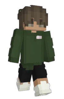 Front of 9197's skin