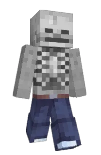 Front of somagordo's skin