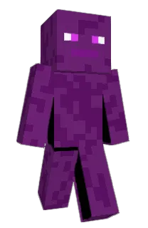 Front of MrB0gus8's skin