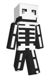 Front of CUBILLION's skin