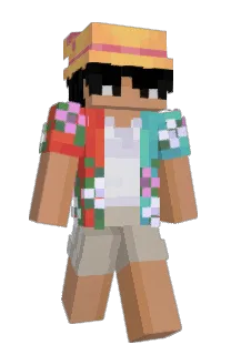 Front of NicL14's skin