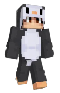 Front of Minecraft skin