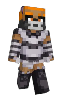 Front of Rogueflyer08's skin