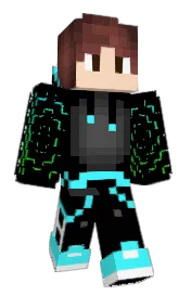 Skin preview