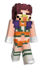 Skin preview