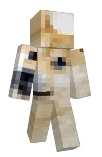 Front of chickenman511's skin