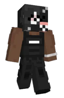 Front of InParis's skin