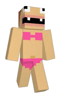 Front of Minecraft skin