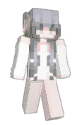 idiqt