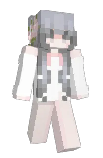Front of idiqt's skin