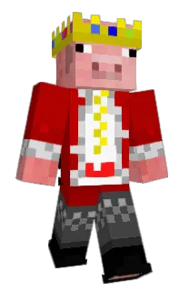 Front of S4TURN_v's skin