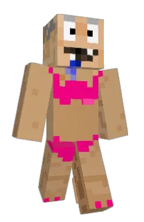 prdomil3's Minecraft skin