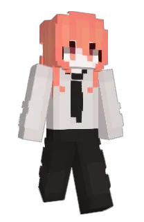 Front of barrapanic's skin