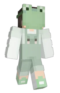 Front of apalssauce's skin