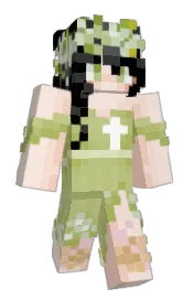 Skin preview