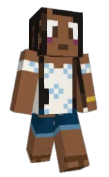 Classic Minecraft skin