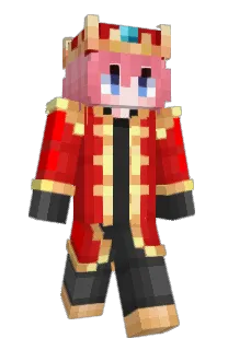 Front of pun522's skin