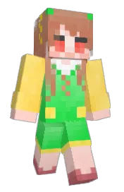 Skin preview