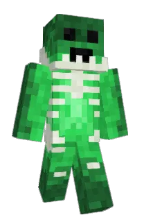 Front of Braaibroodjie's skin
