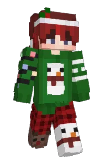 Front of razrio's skin