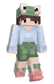 Skin preview