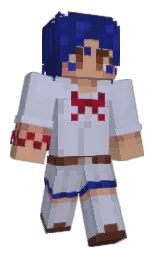 Minecraft skin — Classic model