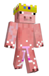 Front of dontcomplain's skin